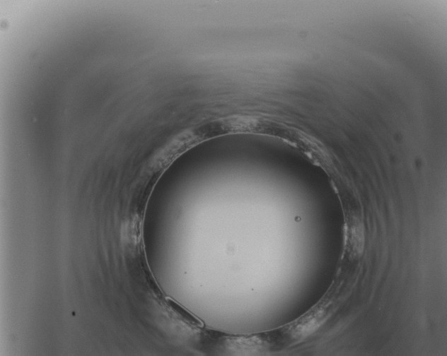 X0000063500525200601271748