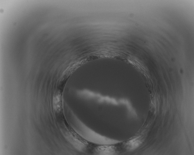 X0000063500526200601271748