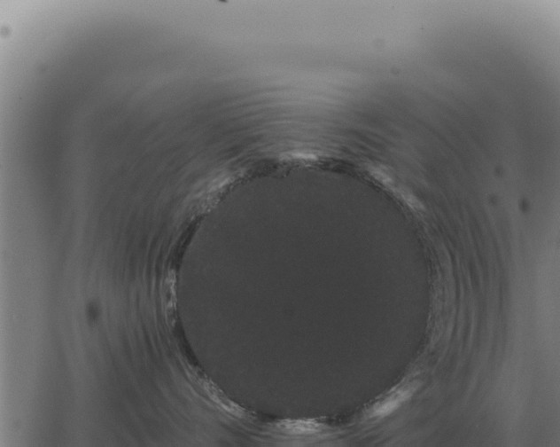 X0000063500528200601271748