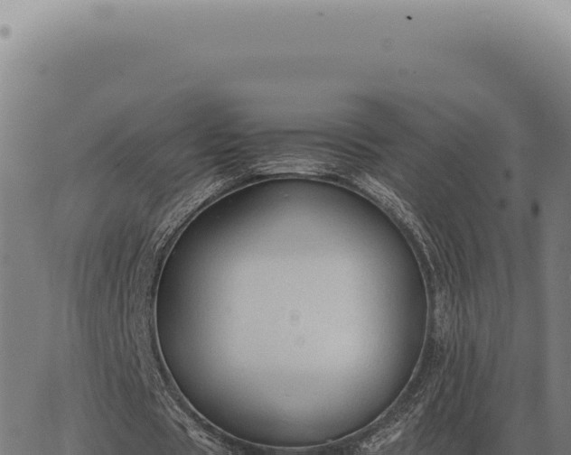 X0000063500529200601271747