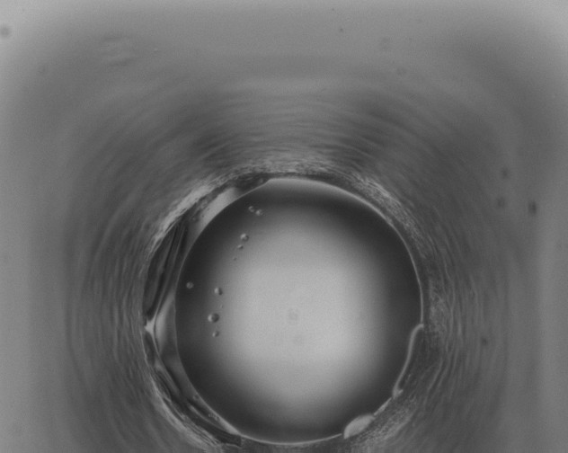 X0000063500530200601271747