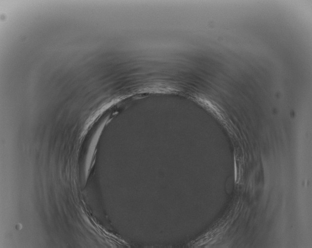 X0000063500531200601271747