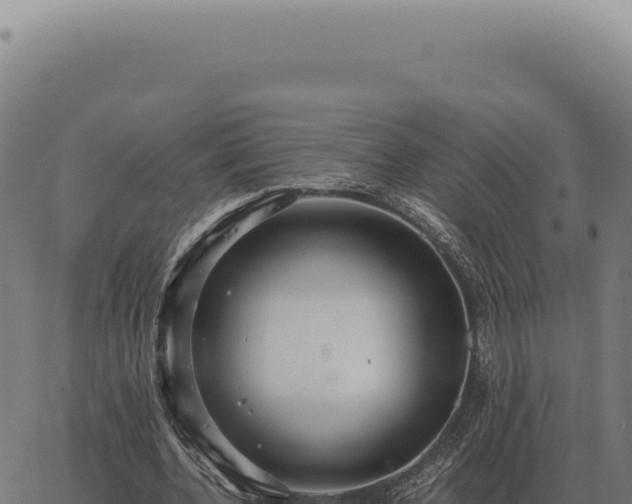 X0000063500532200601271747