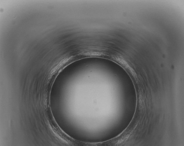 X0000063500533200601271747