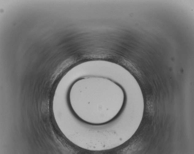 X0000063500534200601271747