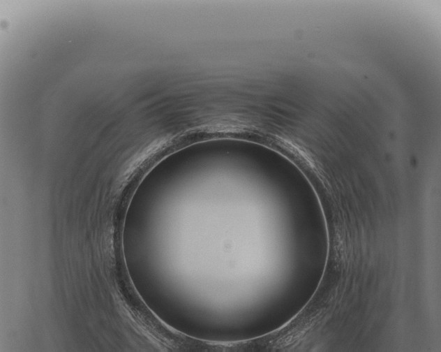 X0000063500535200601271747