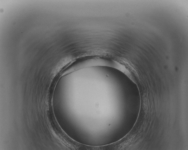 X0000063500536200601271747