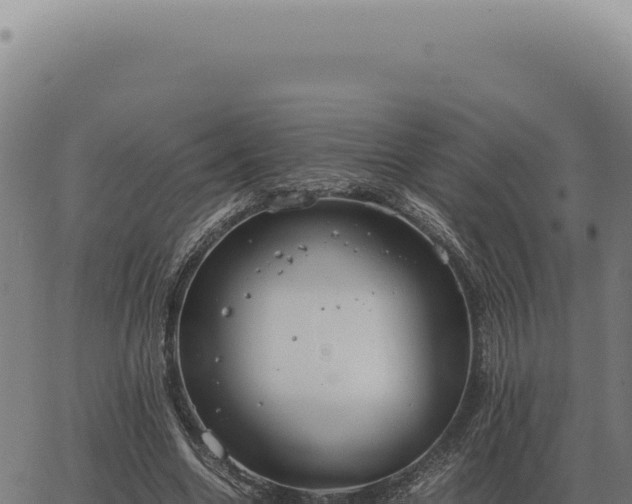 X0000063500538200601271747