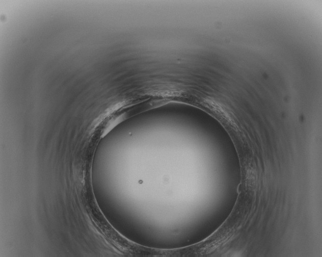 X0000063500539200601271747