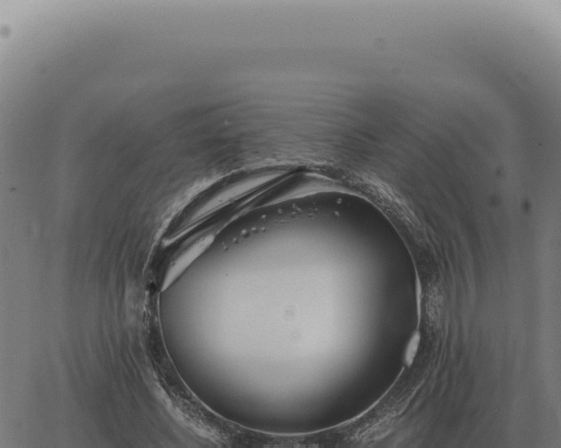 X0000063500540200601271747