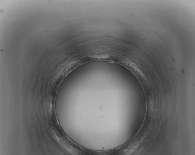 X0000063500541200601271747