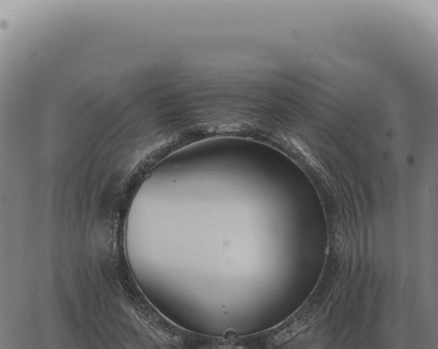 X0000063500543200601271747