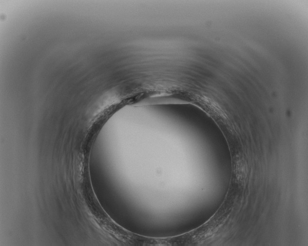 X0000063500544200601271747