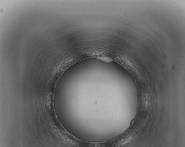 X0000063500545200601271747