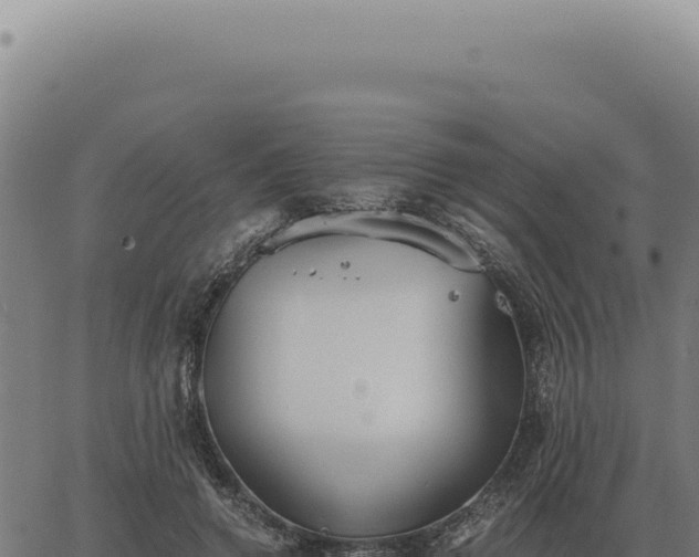 X0000063500546200601271747