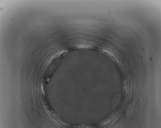 X0000063500547200601271747