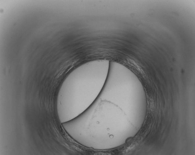 X0000063500549200601271747