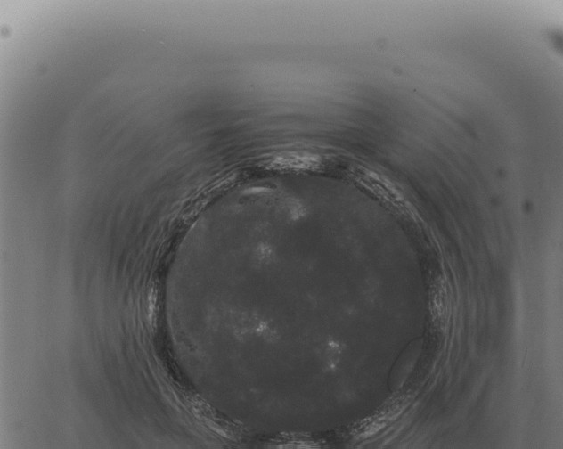 X0000063500551200601271748