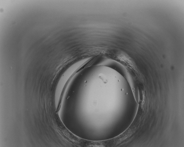 X0000063500552200601271748