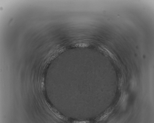 X0000063500553200601271748