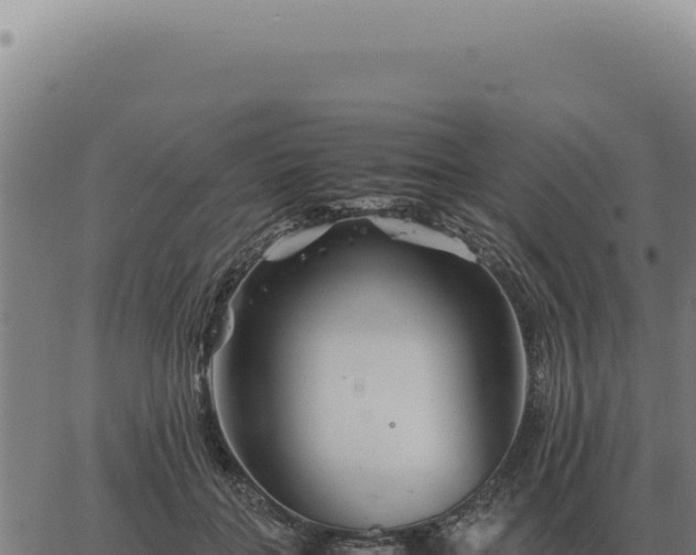 X0000063500555200601271748