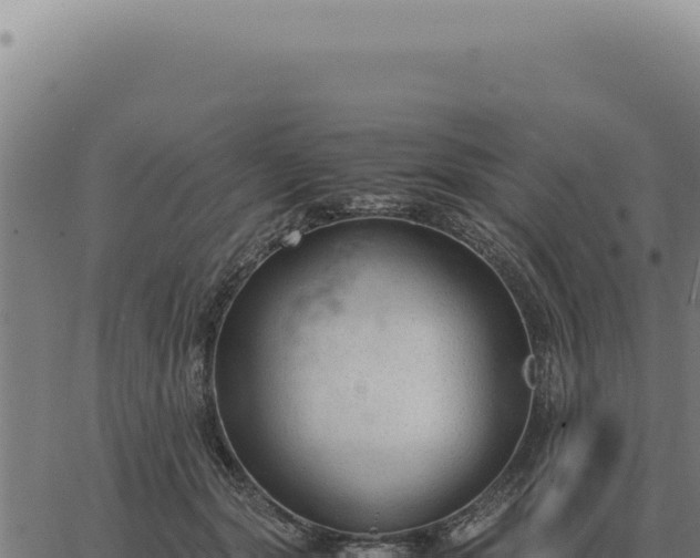 X0000063500557200601271748