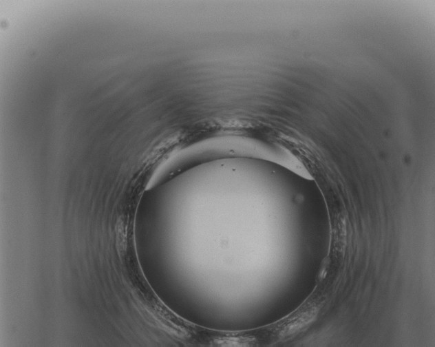 X0000063500558200601271748