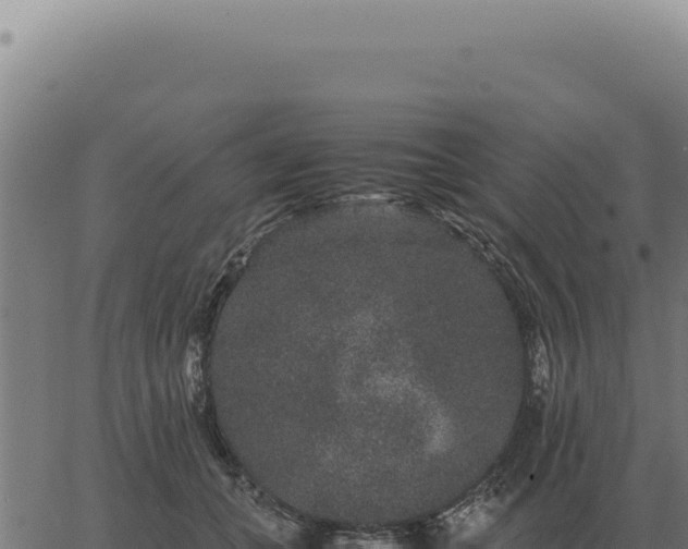 X0000063500559200601271748