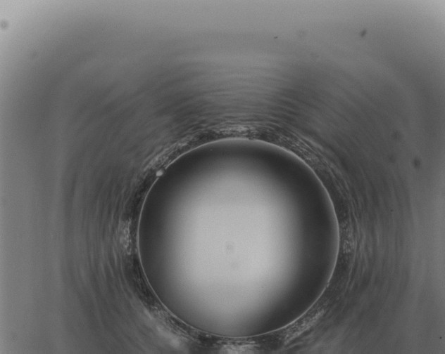 X0000063500560200601271748