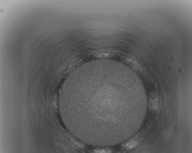 X0000063500561200601271748