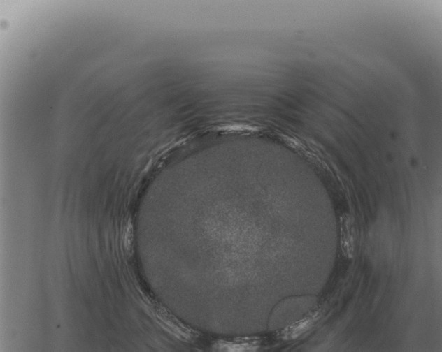 X0000063500563200601271748