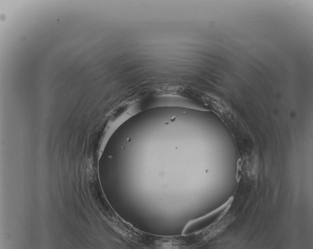 X0000063500564200601271748