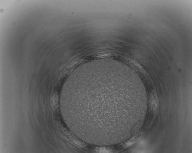 X0000063500565200601271748