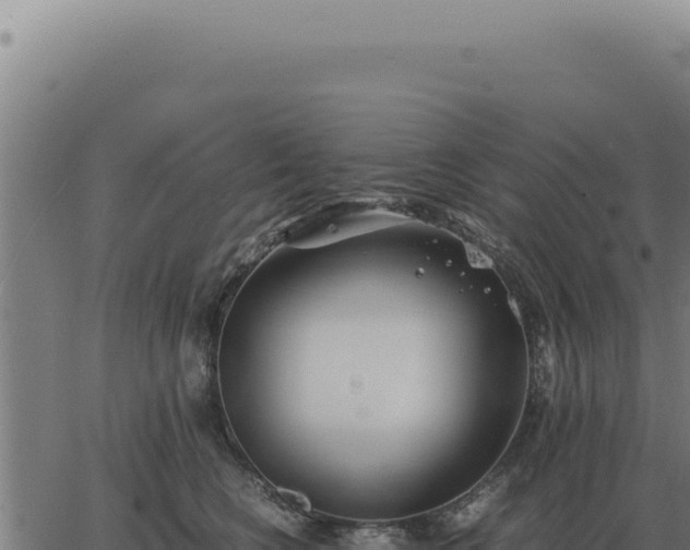 X0000063500566200601271748