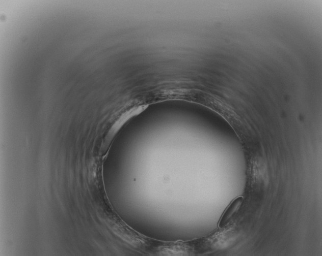 X0000063500567200601271748