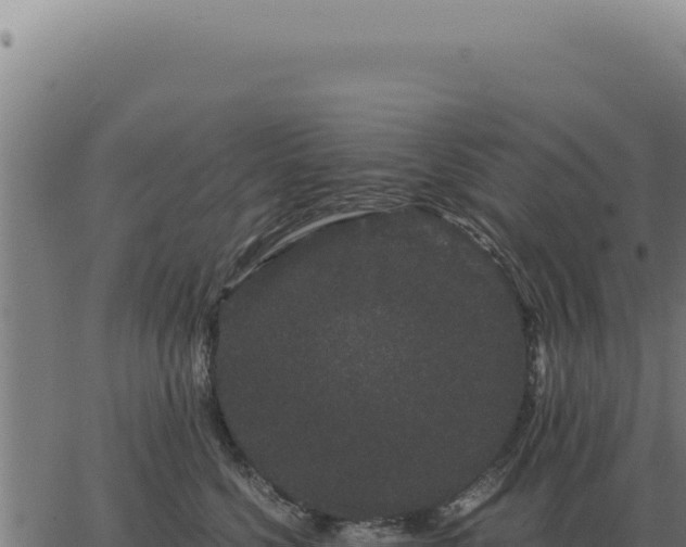 X0000063500568200601271748