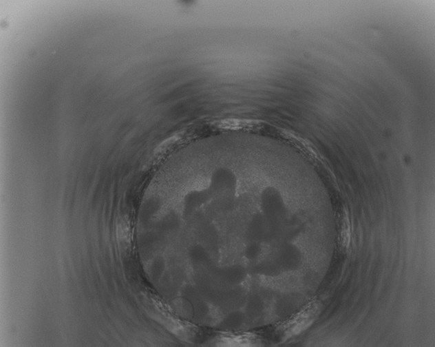 X0000063500569200601271748