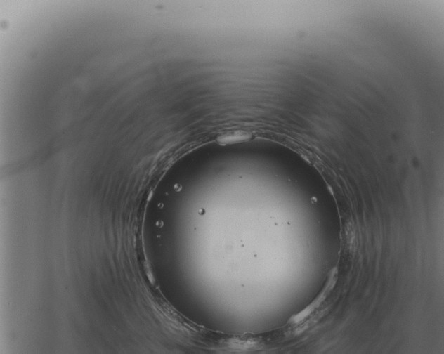 X0000063500570200601271748