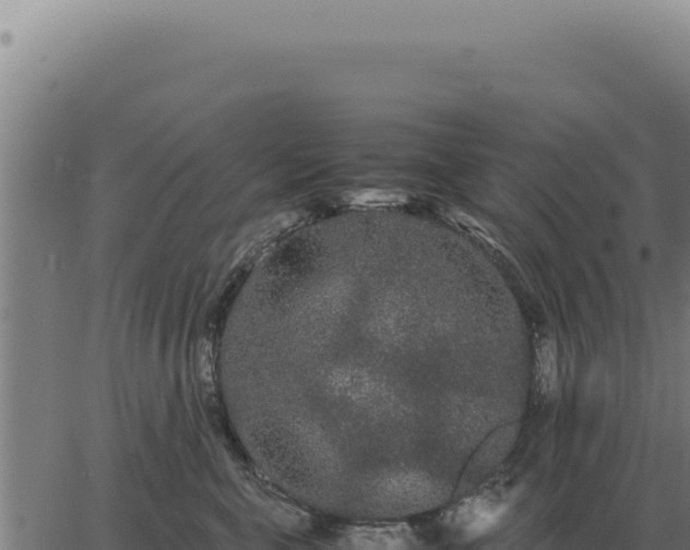 X0000063500571200601271748