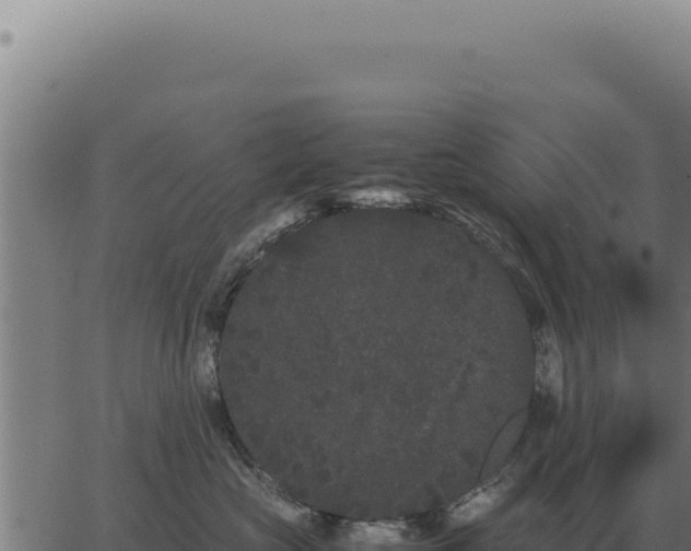 X0000063500573200601271748