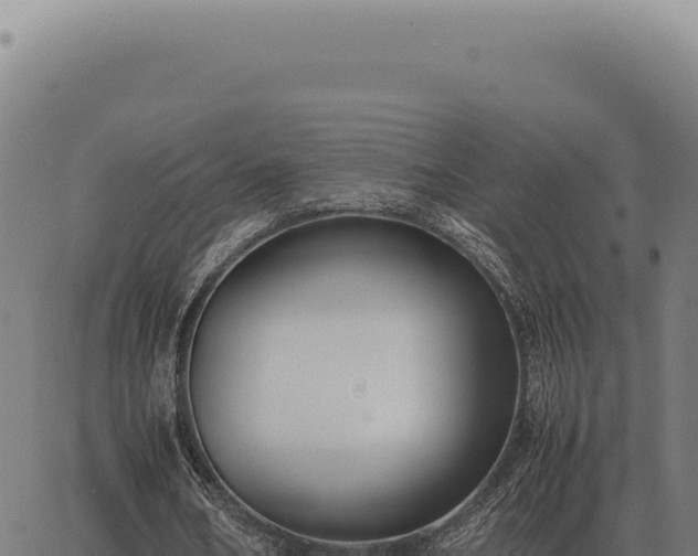 X0000063500578200601271747