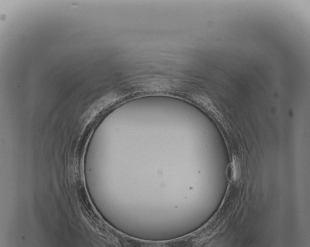 X0000063500579200601271747