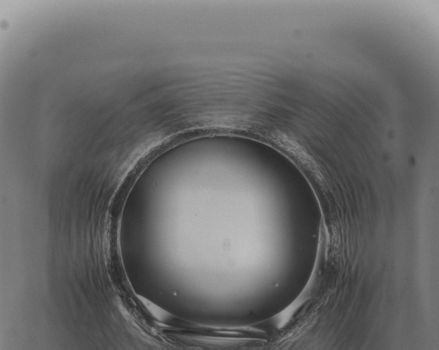 X0000063500580200601271747