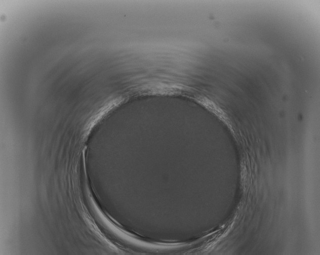 X0000063500581200601271747