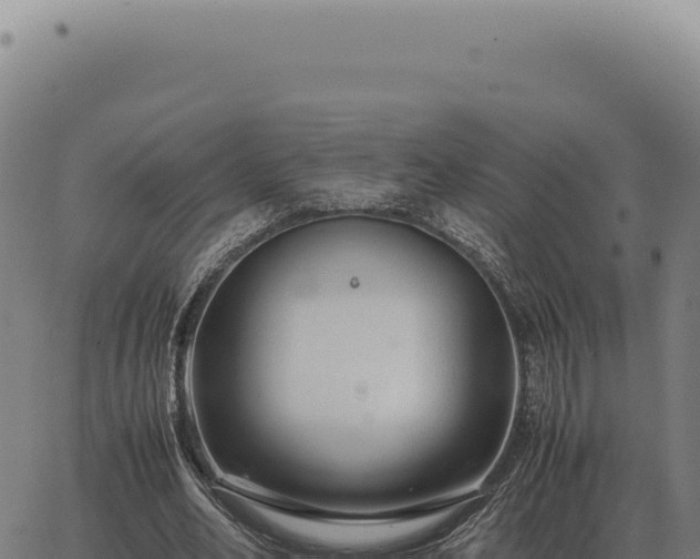 X0000063500582200601271747