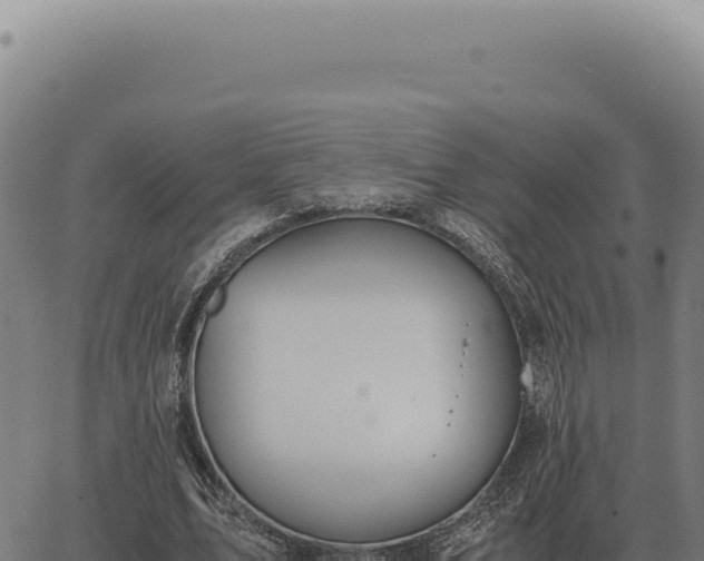 X0000063500583200601271747