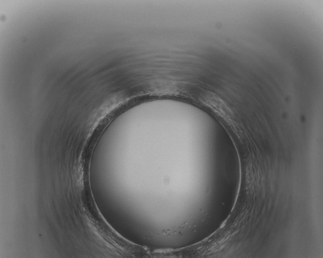 X0000063500584200601271747