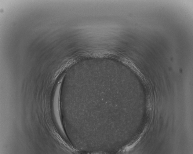 X0000063500585200601271747