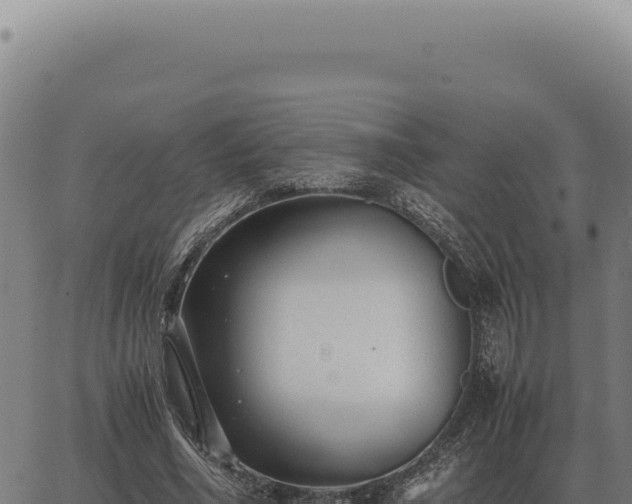 X0000063500586200601271747