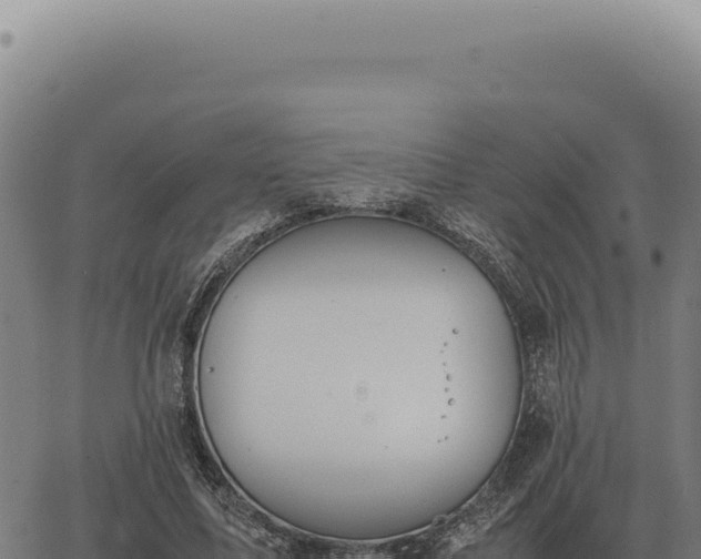 X0000063500587200601271747